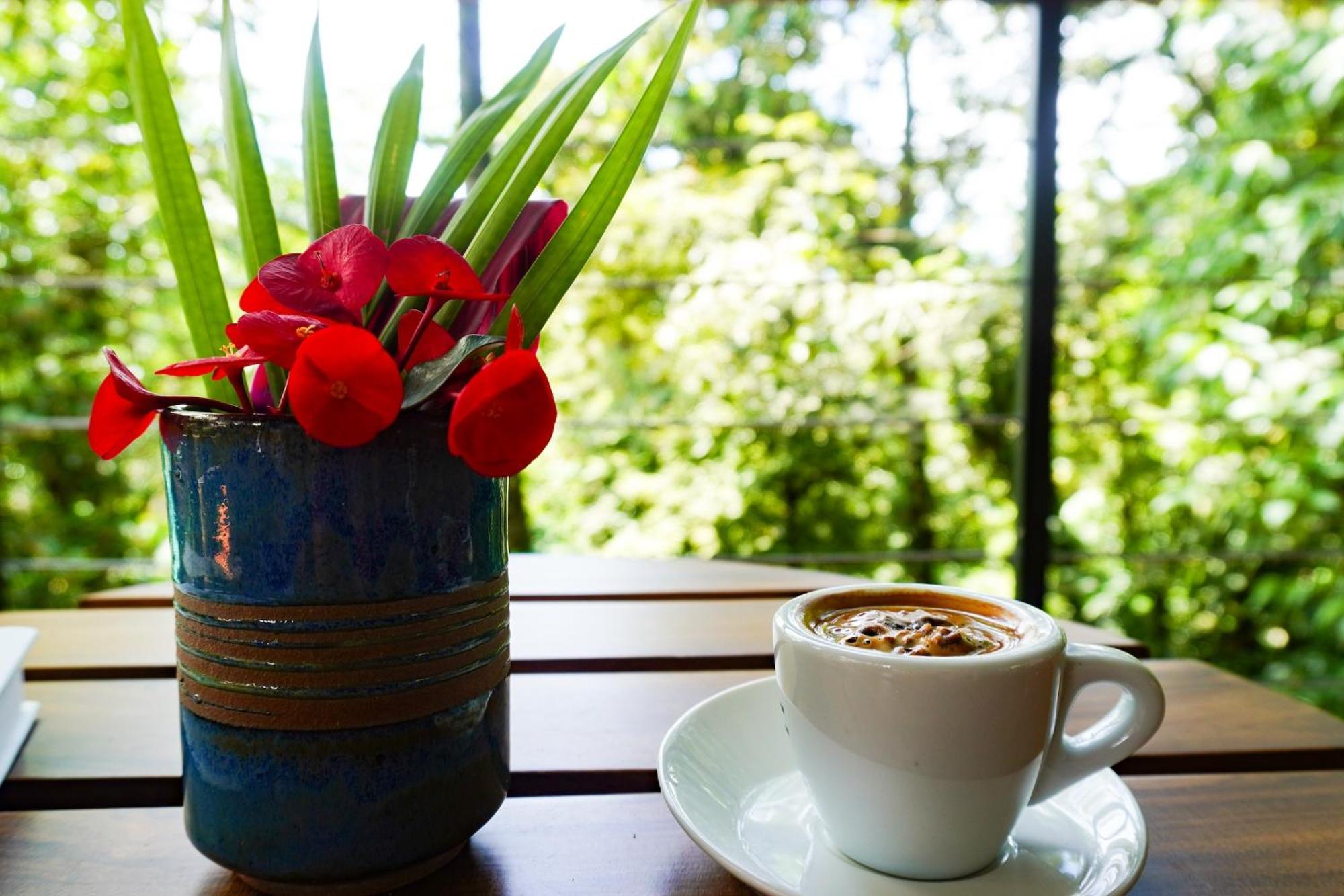 Sueno Rio Celeste Boutique B&B Bijagua Esterno foto