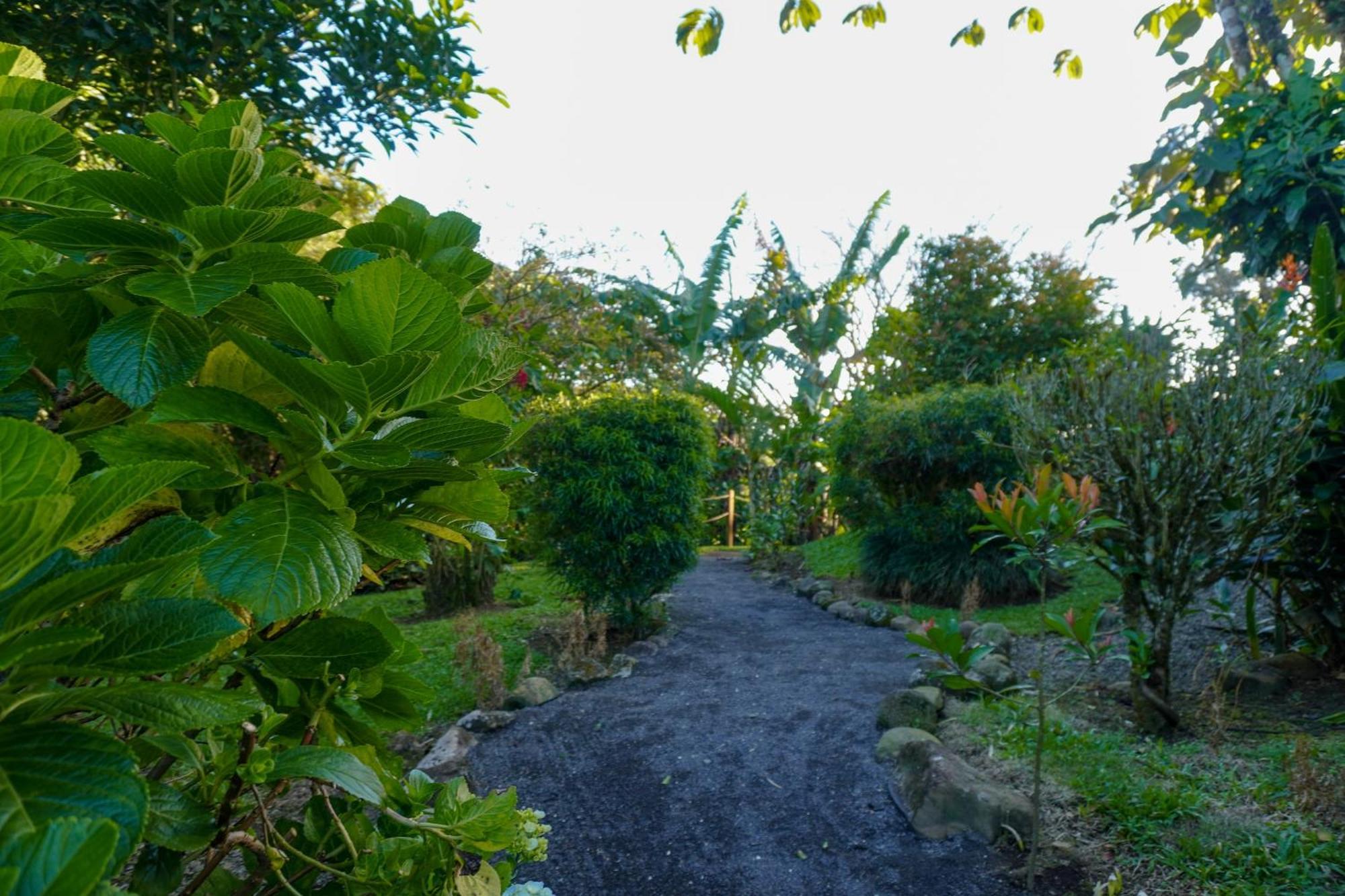 Sueno Rio Celeste Boutique B&B Bijagua Esterno foto