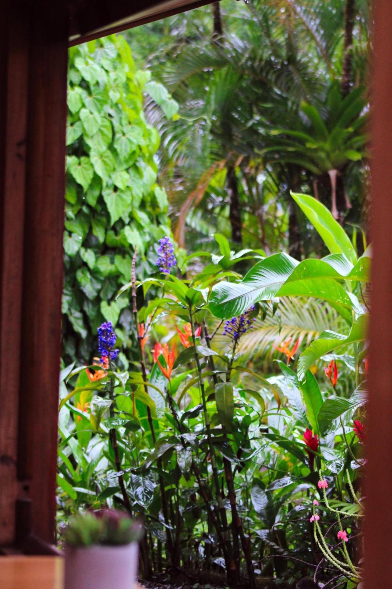 Sueno Rio Celeste Boutique B&B Bijagua Esterno foto