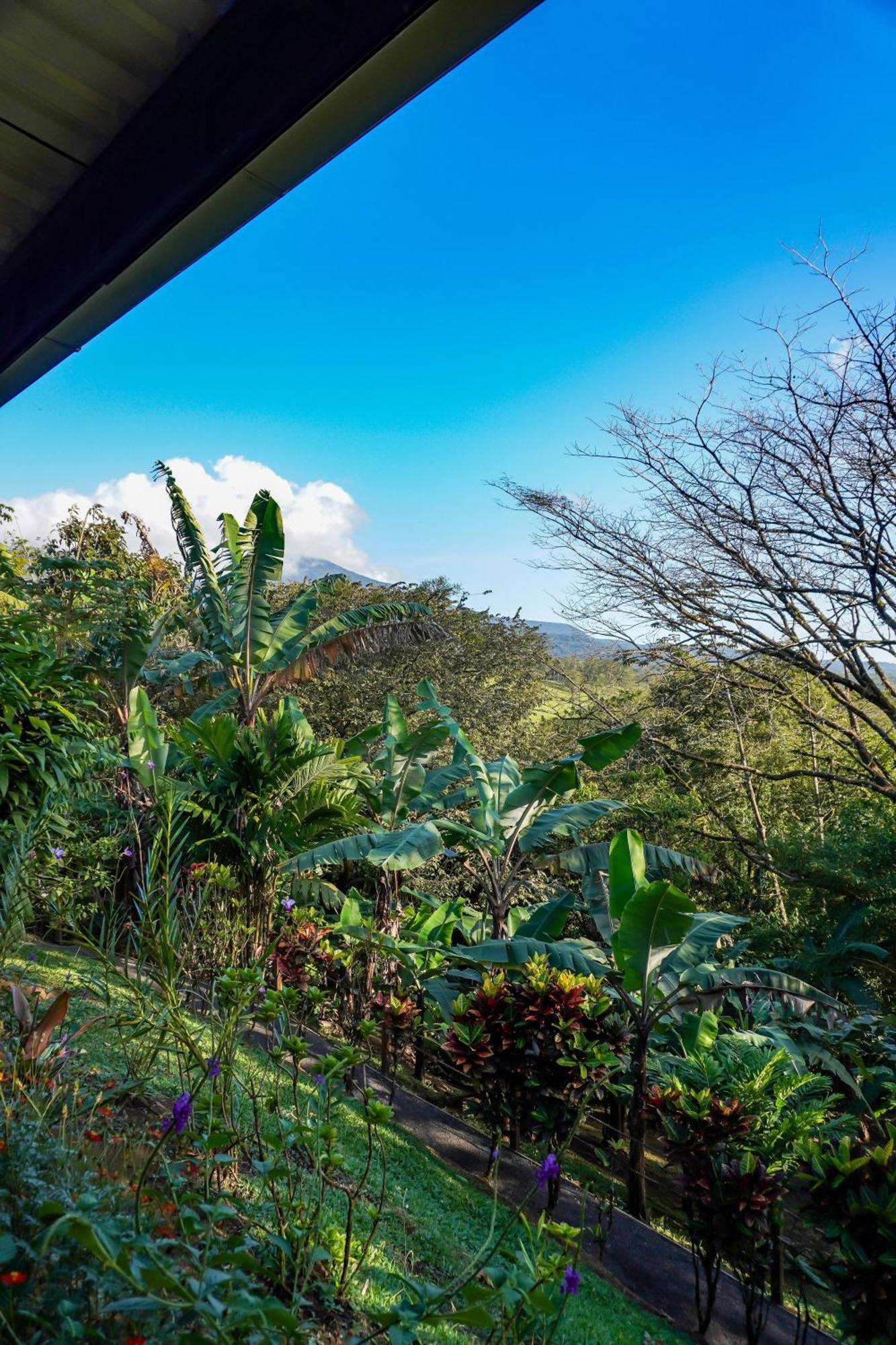 Sueno Rio Celeste Boutique B&B Bijagua Esterno foto